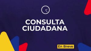 Consulta Ciudadana